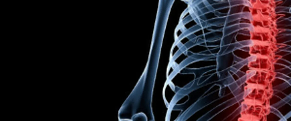 Spinal Cord Injuries: How They Happen and How to Heal